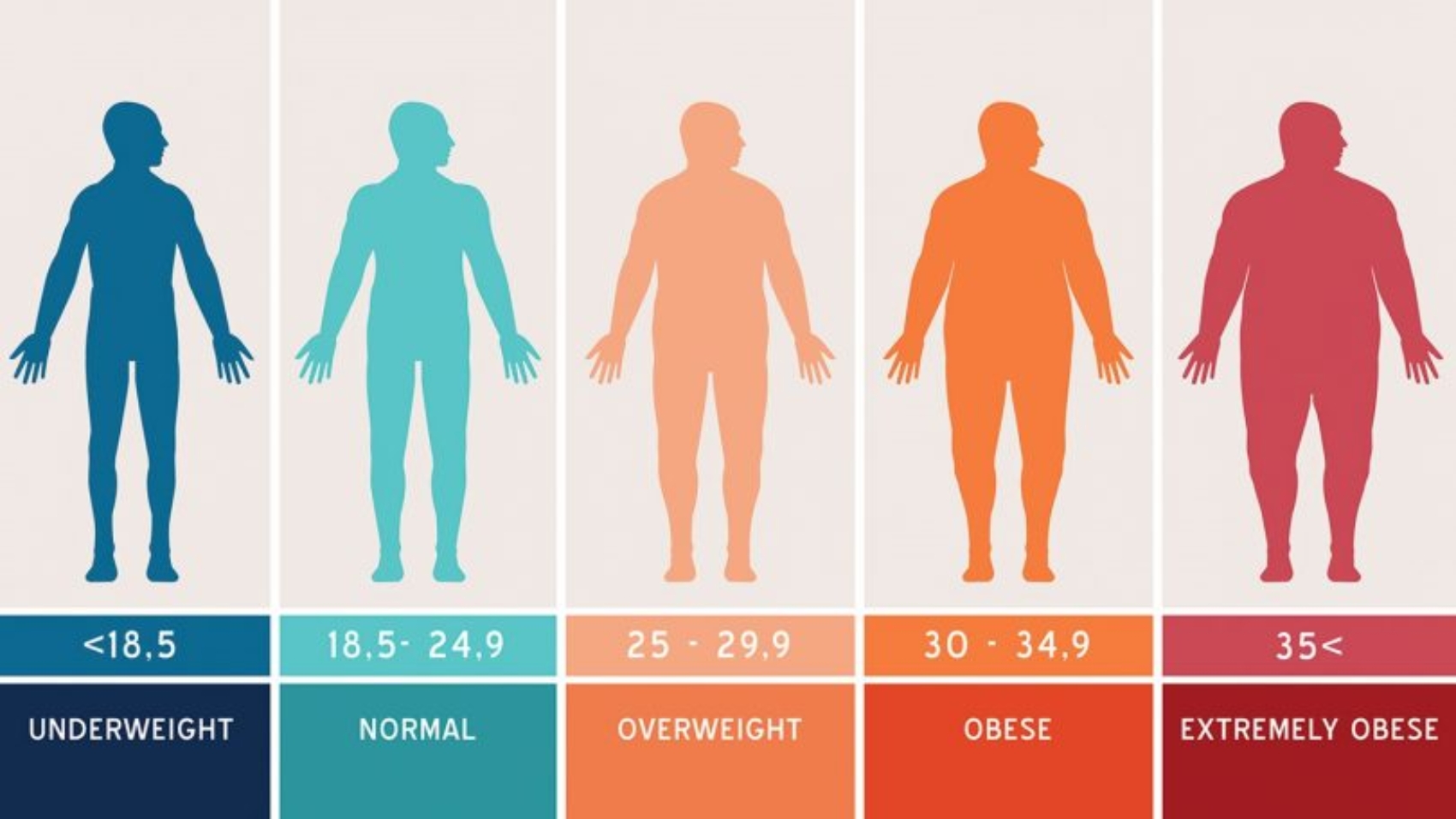 Bad-News-if-Your-BMI-Is-High-Fat-Causes-Heart-Failure-1440x810-810x456